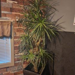 Artificial tree