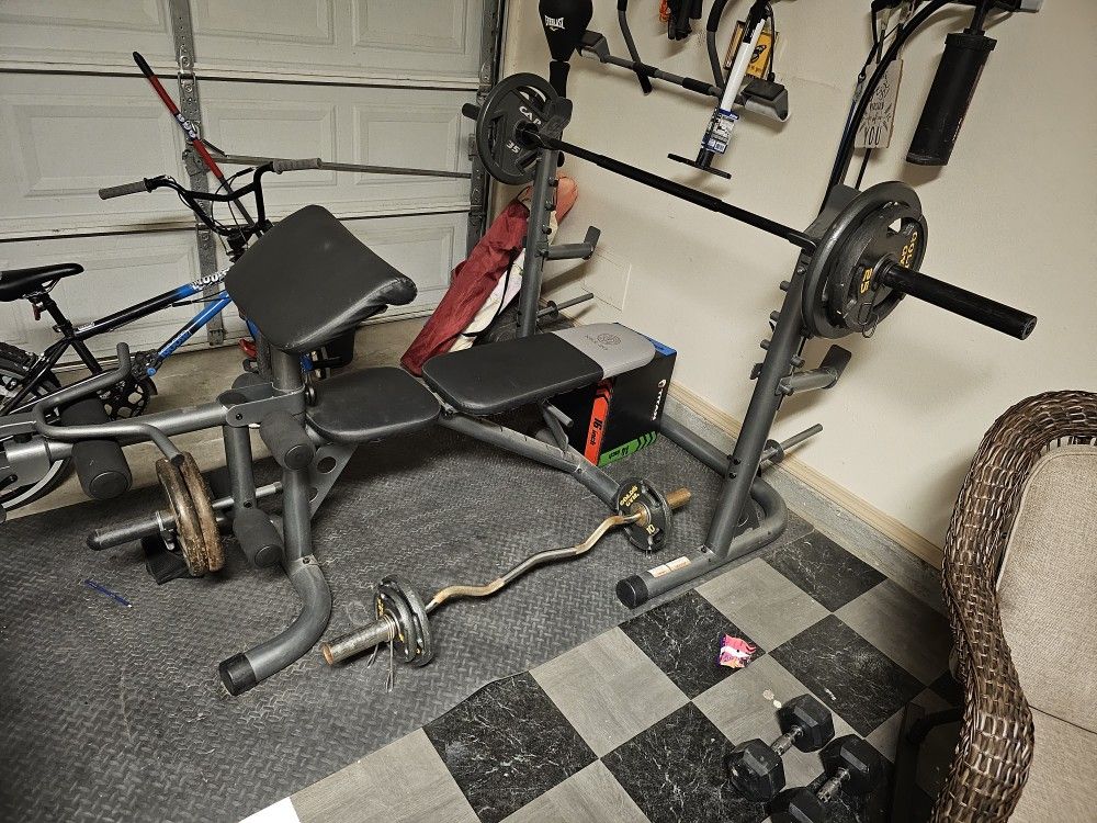 Weight Bench And Weights