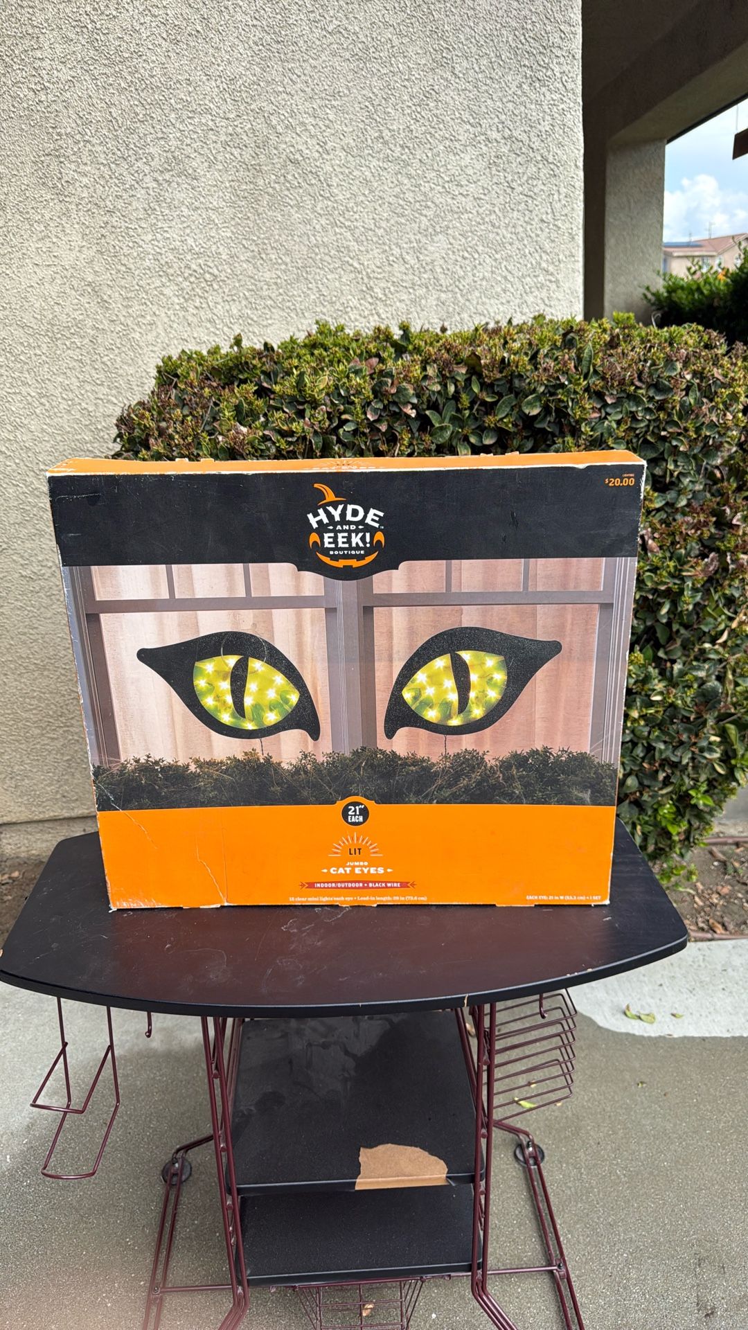 Halloween Decor