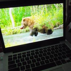 2013 Apple Macbook Pro 13" Retina i5 2.4Ghz 8GB 256G Flash Sequoia  $299 (Schererville)

