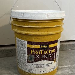 Exterior Paint. Color Pale Green Tea. Flat. New 5 Gallons 
