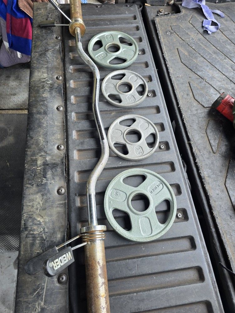 Weight Plates & Curl Bar