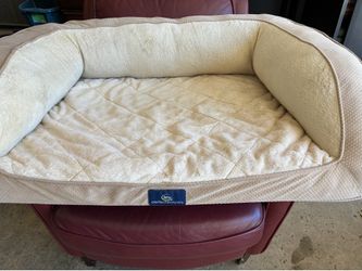 Pet bed and cat tunnel