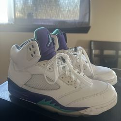 Jordan grape 5’s 100% authentic size 9