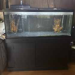 75 gallon fish tank with heater and water pump, bottom shelf included, day and night light.