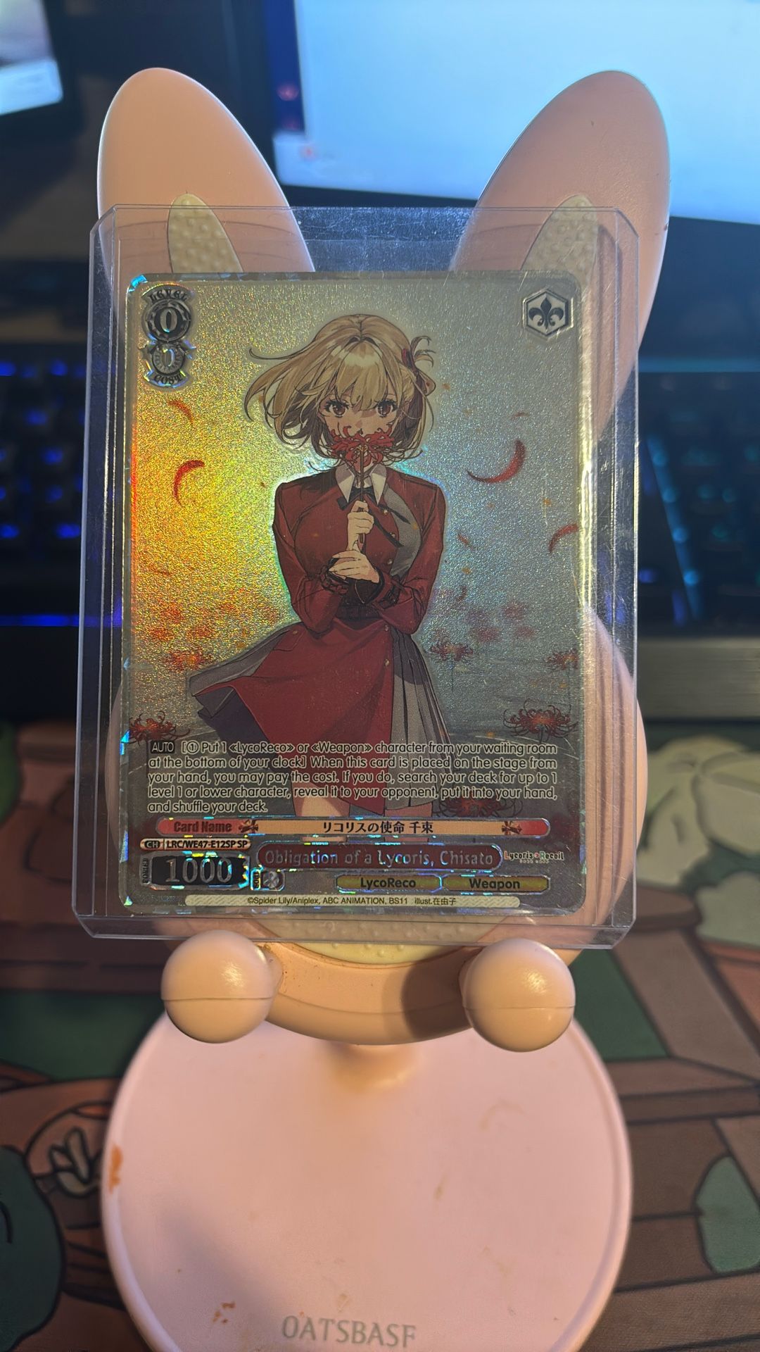 Obligation Of Lycoris