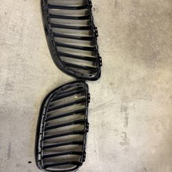 F Series BMW Grills 
