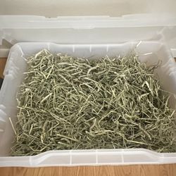 Timothy Hay 90oz and Container