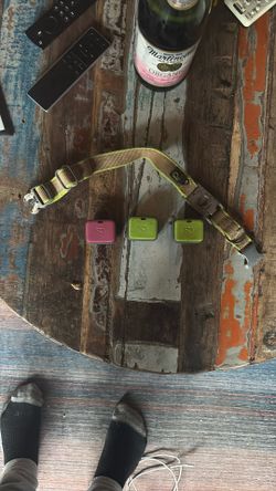 Whistle 3 Go Explore GPS And Collar 