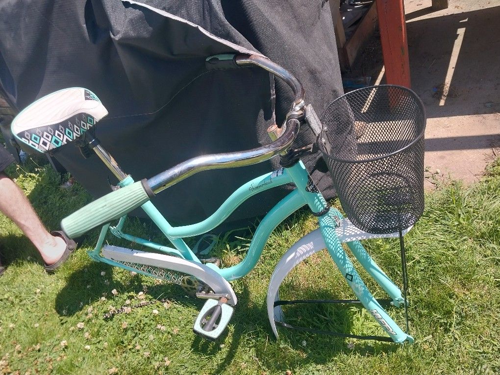 24 in Huffy Bike Frame (NO TIRES)