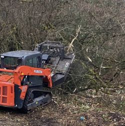 Brush Mulching & Land Clearing