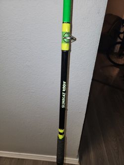 Slime Cat Fishing Rod- 12 Footer for Sale in Hurst, TX - OfferUp