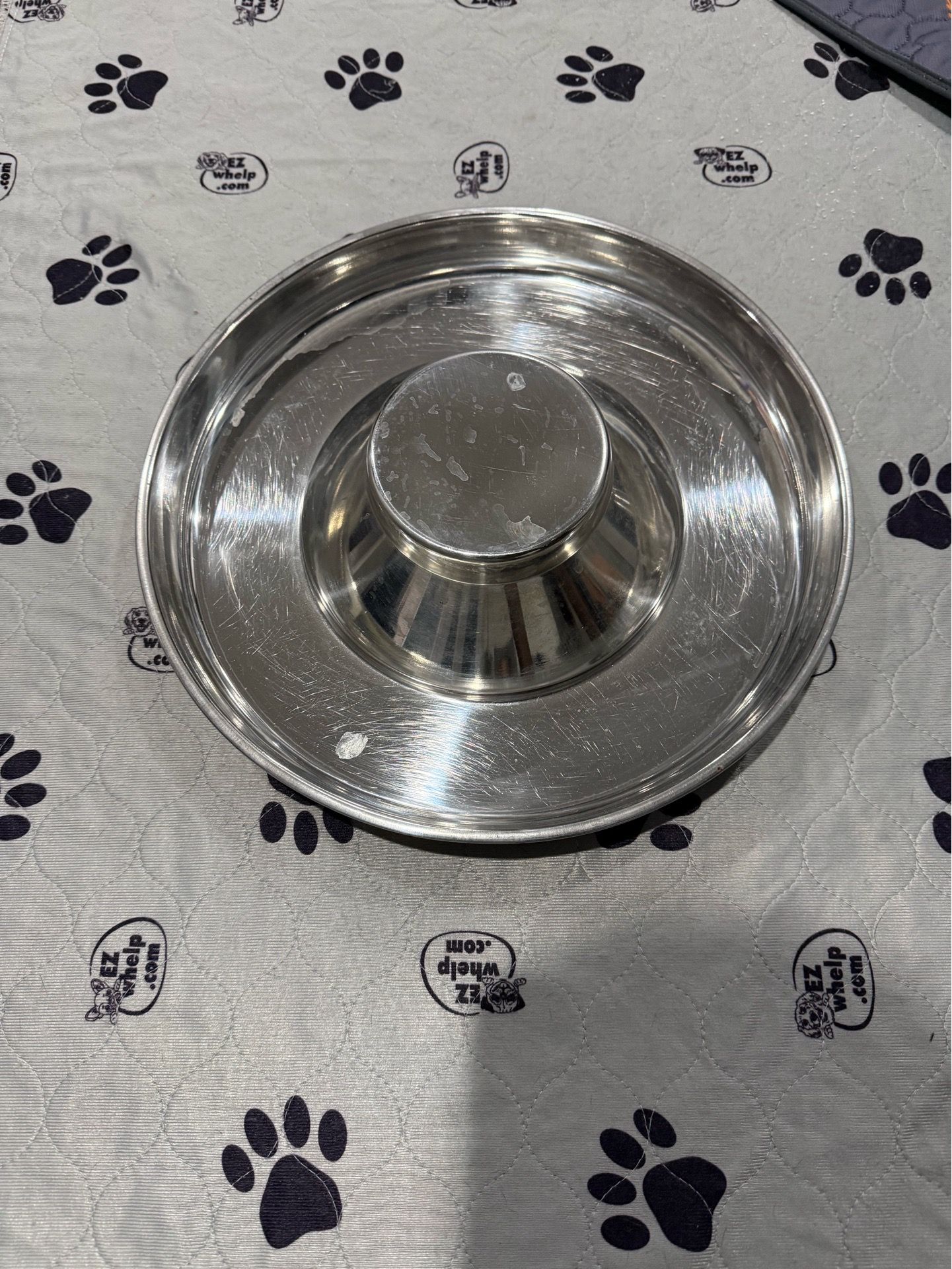 Puppy Bowl and collars
