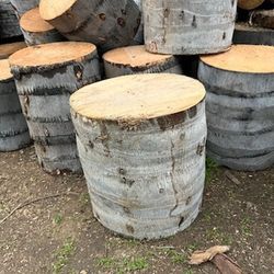 Palm Tree Stumps