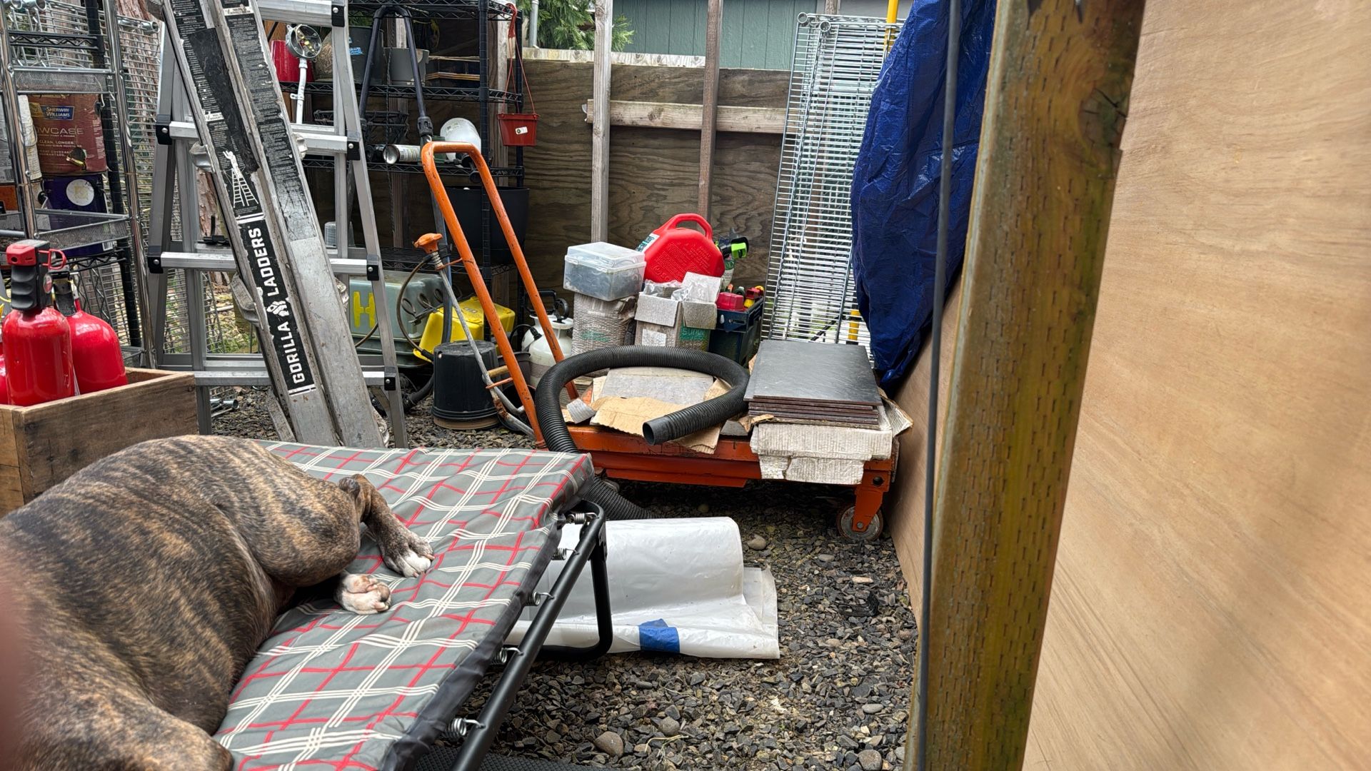 4 Ft. Lift Bench/cart