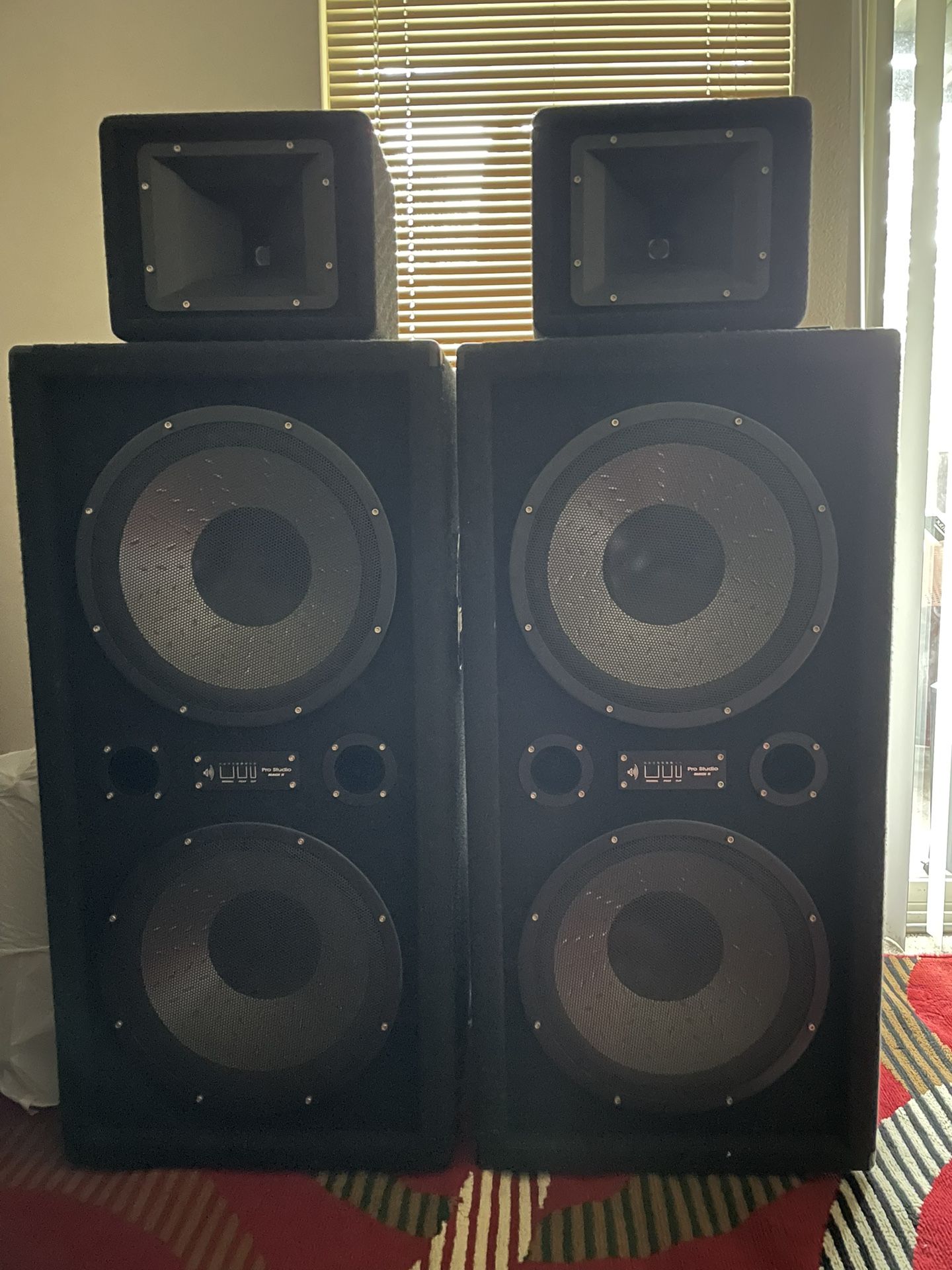 20” Speakers