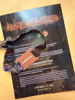 Wasteland 2 day 3 wristbands