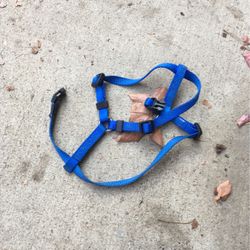 Small Dog Harness