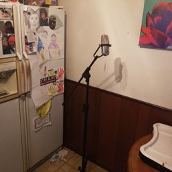 Mic Stand 