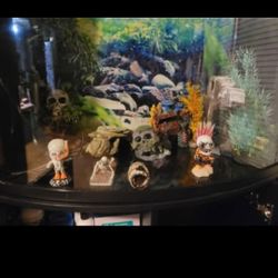 35 Gallon Fish Tank Everything Included Ecsept  Fish 