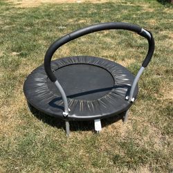 Mini Trampoline 