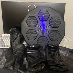 Smart Music Boxing Target with Gloves