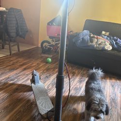 Shell Ride Scooter Electric ⚡️ Scooter🛴 