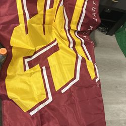 Central Michigan Flag