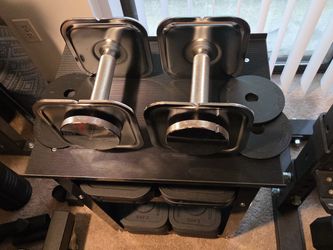 Ironmaster Quick-Lock Dumbbells + 180 lb Plates & Stand
