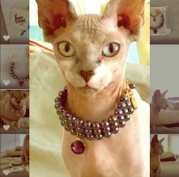 NWT: RARE! Venessa Arizaga “Sugar Plum Pearl Cuff Bracelet”