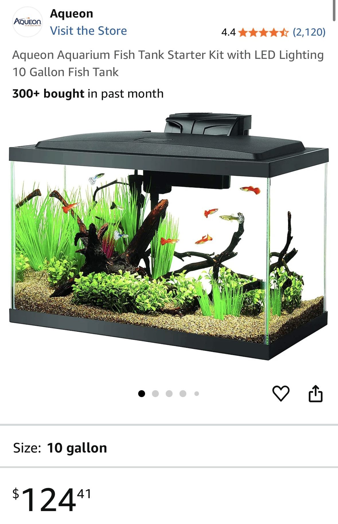 Fish Tank