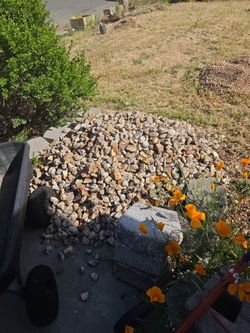Free stones