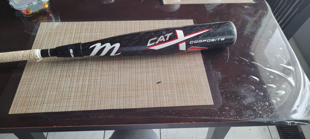 Baseball Bat
