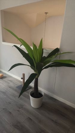 Planta artificial