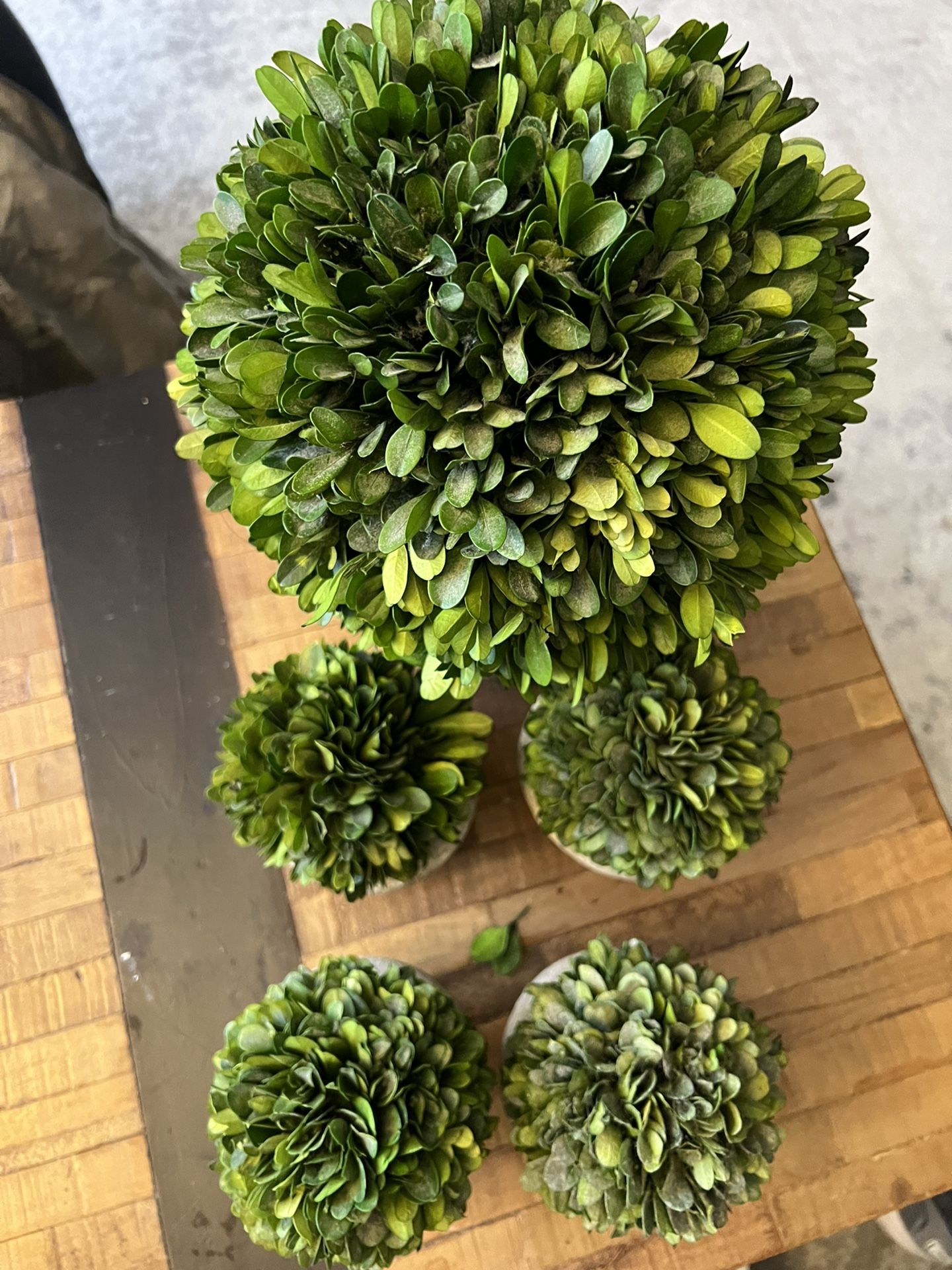 Set Of 5 Faux Tabletop Topiaries (Restoration hardware)