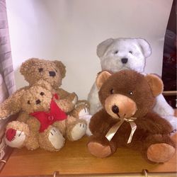 Bear Plush Lot