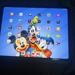 Unlocked IPad Pro 13 256 Gb M4