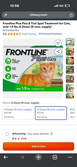 Flea and Tick Spot Treatment for Cat Count of 6