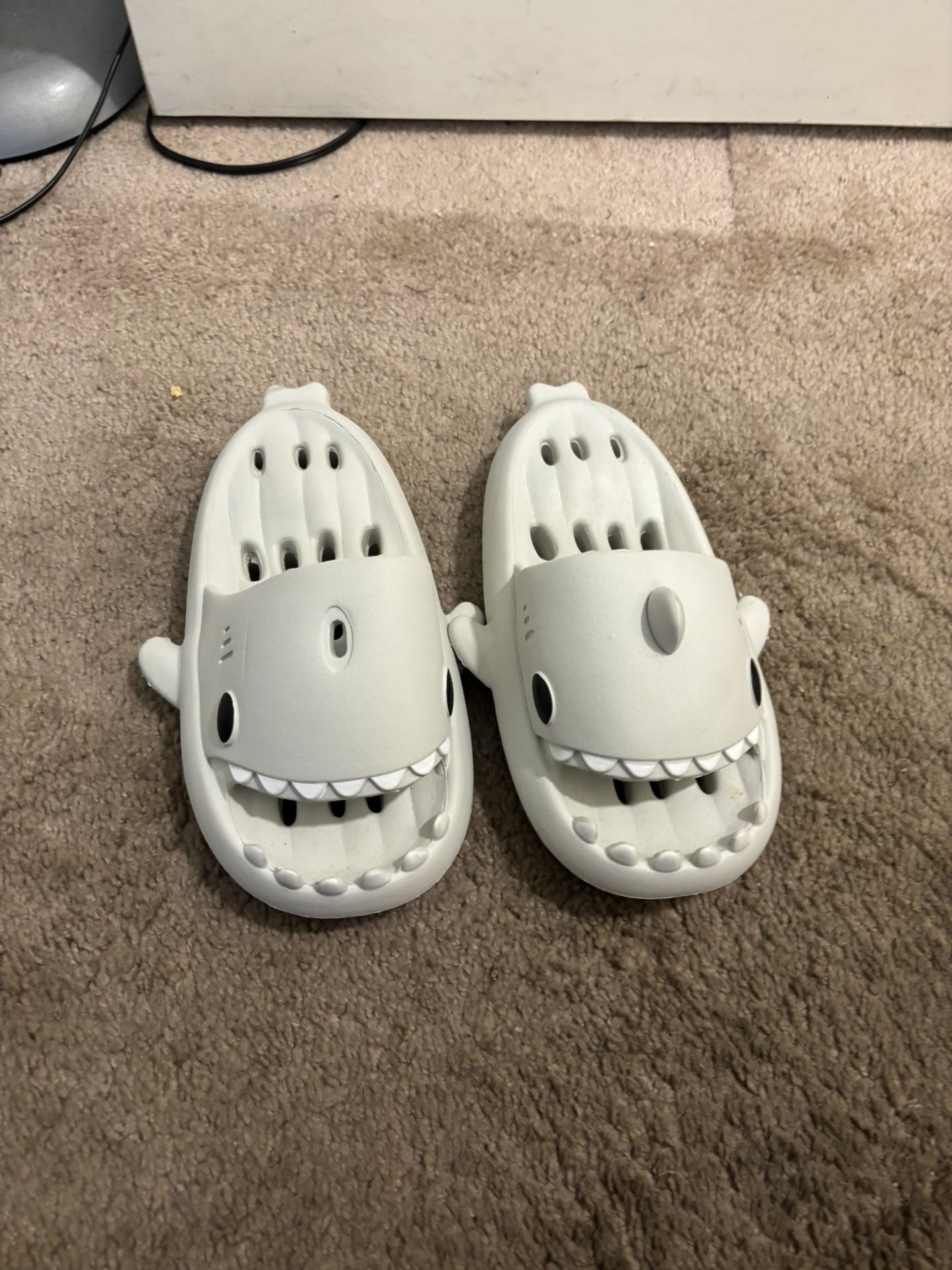 Shark Slides 