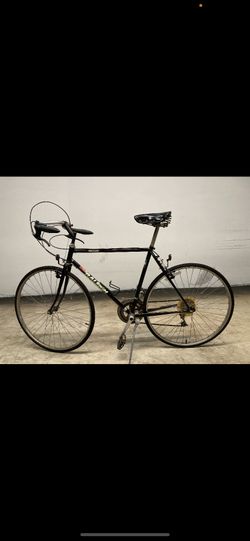 Raleigh Capri Bike