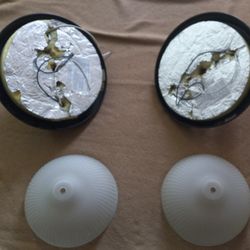 Ceiling Lights