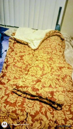 Comforter
