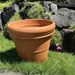 Terracotta Pot - Extra Large