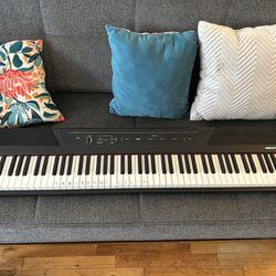 88 Keyboard piano Alesis Recital 
