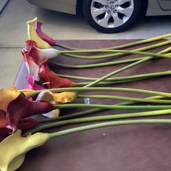 12 Flores De Alcatrases 