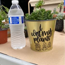 I Wet My Plants 