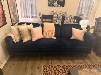 Velvet sofa couch