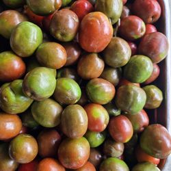 Ciruela 