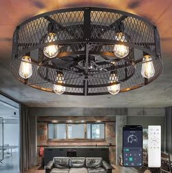 Dovanpaul 26" Black Caged Farmhouse LED Ceiling Fan w/ Remote & App (WS-FPZ58-60B)