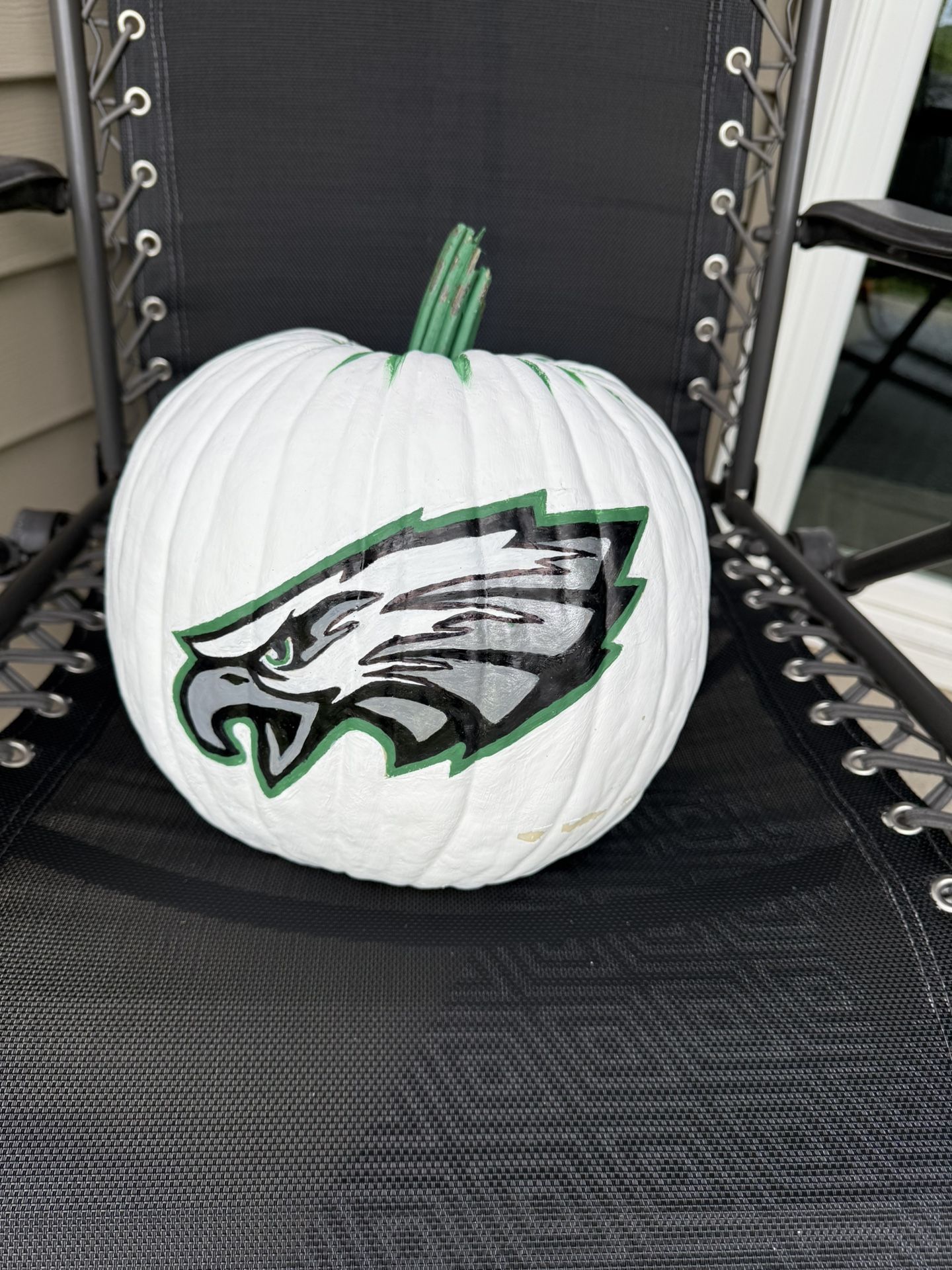 Hand Painted Philadelphia Eagles And Phillies pumpkins